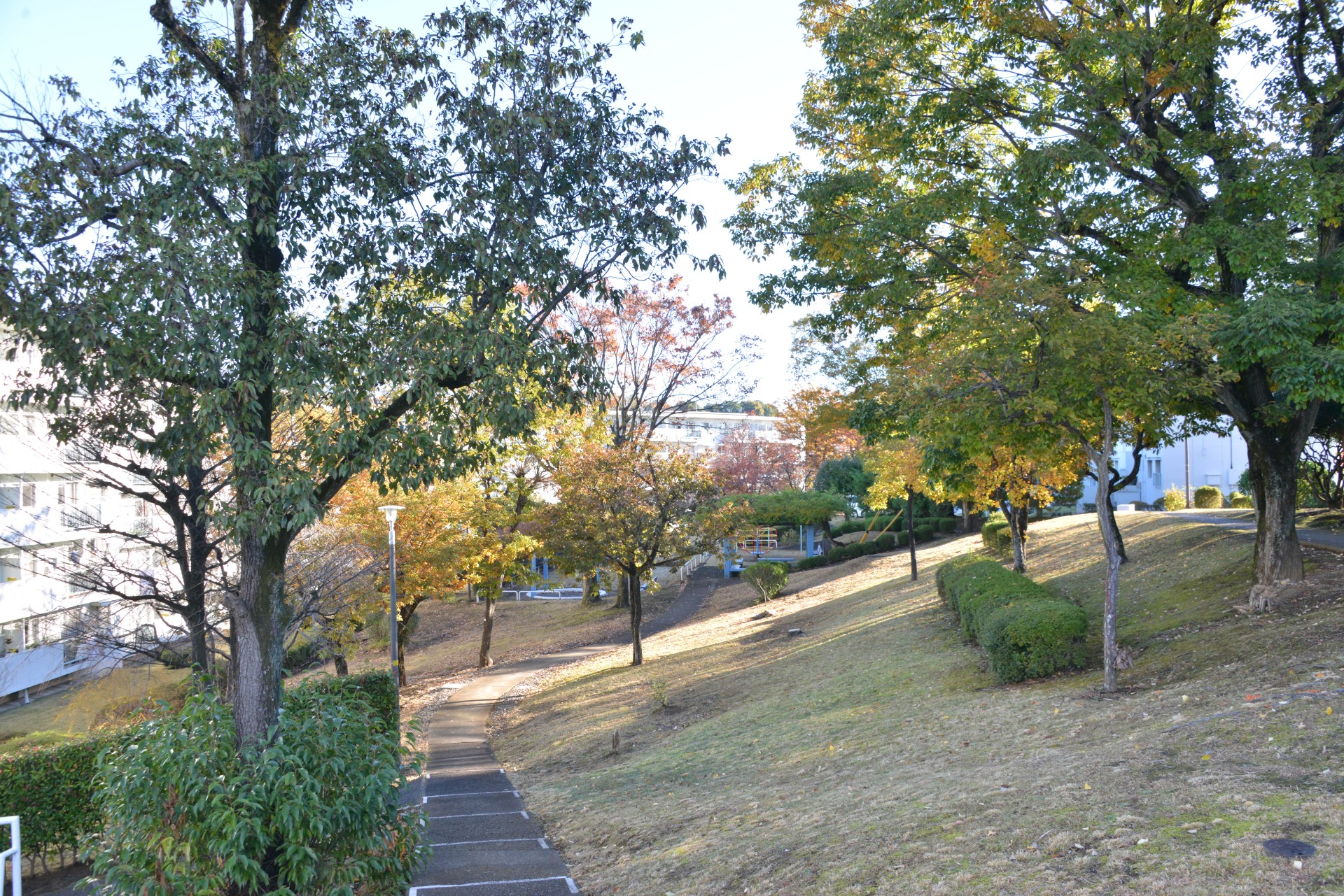 15-9南遊歩道①