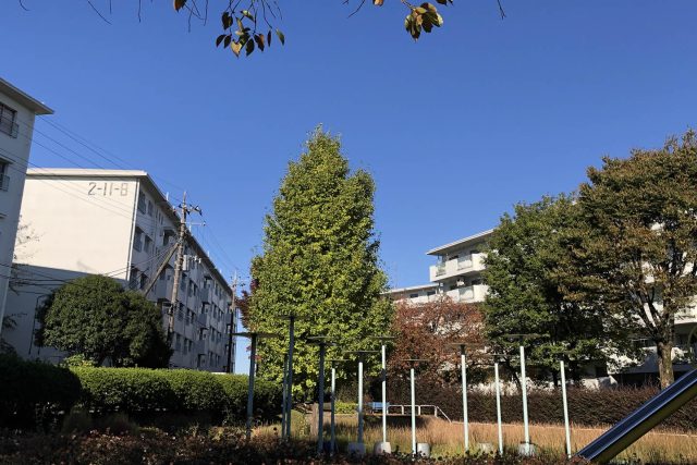 鶴川2丁目団地（鶴川2丁目住宅管理組合）／東京都町田市／鶴川団地