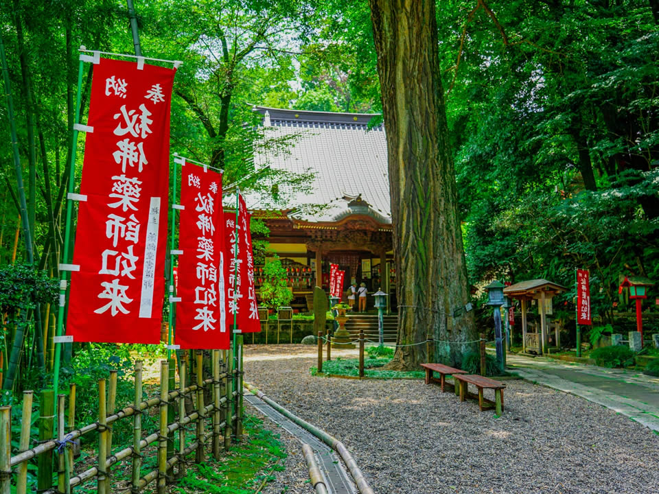 近隣イベント／サンプル